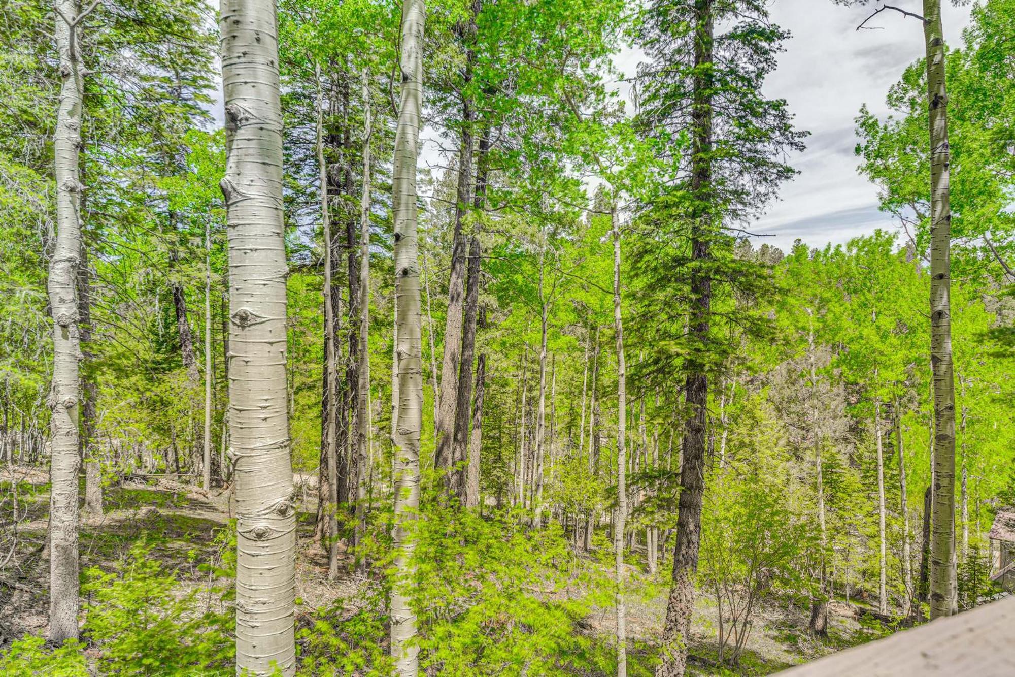 Quaint Cloudcroft Cabin With Stunning Forest Views! Kültér fotó